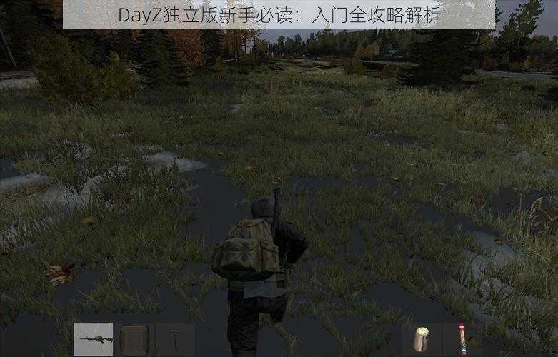 DayZ独立版新手必读：入门全攻略解析