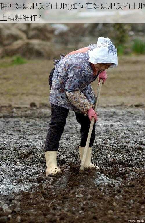 耕种妈妈肥沃的土地;如何在妈妈肥沃的土地上精耕细作？