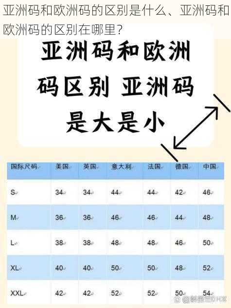 亚洲码和欧洲码的区别是什么、亚洲码和欧洲码的区别在哪里？