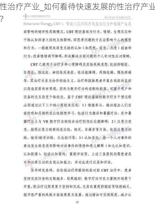 性治疗产业_如何看待快速发展的性治疗产业？