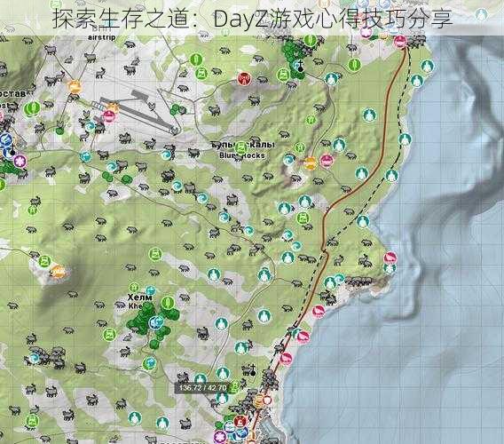 探索生存之道：DayZ游戏心得技巧分享