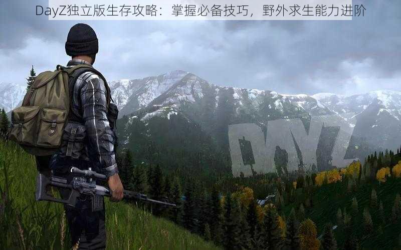 DayZ独立版生存攻略：掌握必备技巧，野外求生能力进阶