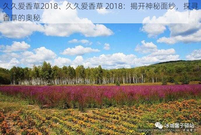 久久爱香草2018、久久爱香草 2018：揭开神秘面纱，探寻香草的奥秘