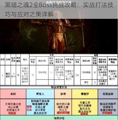 黑暗之魂2全Boss挑战攻略：实战打法技巧与应对之策详解