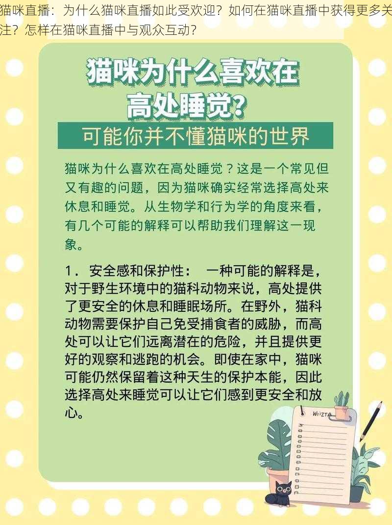 猫咪直播：为什么猫咪直播如此受欢迎？如何在猫咪直播中获得更多关注？怎样在猫咪直播中与观众互动？