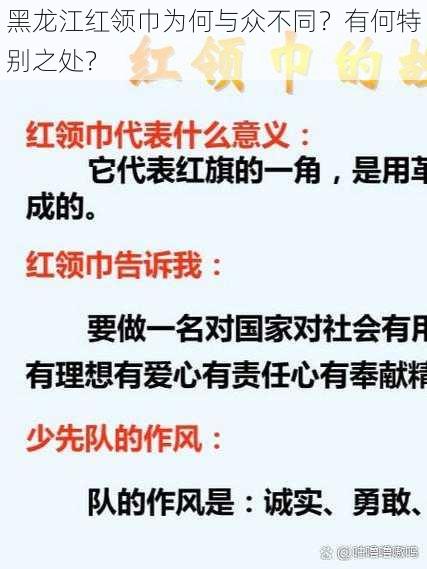 黑龙江红领巾为何与众不同？有何特别之处？