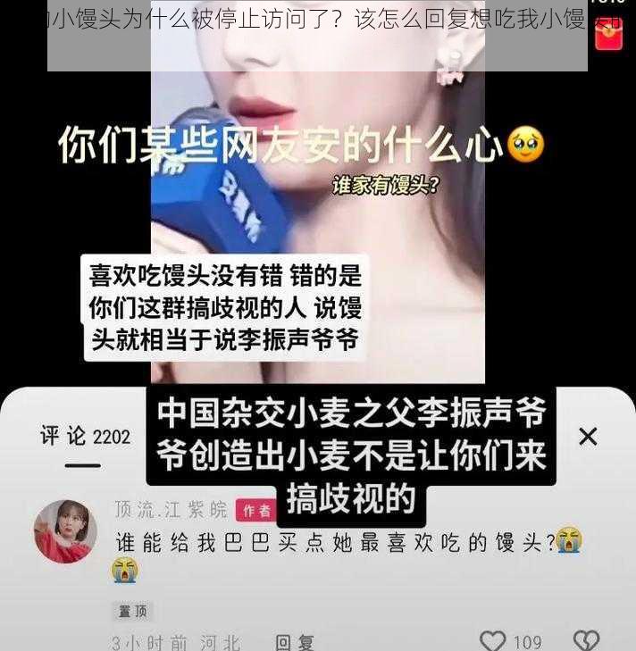 我的小馒头为什么被停止访问了？该怎么回复想吃我小馒头的人？