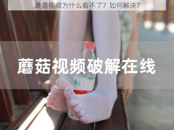 蘑菇视频为什么看不了？如何解决？