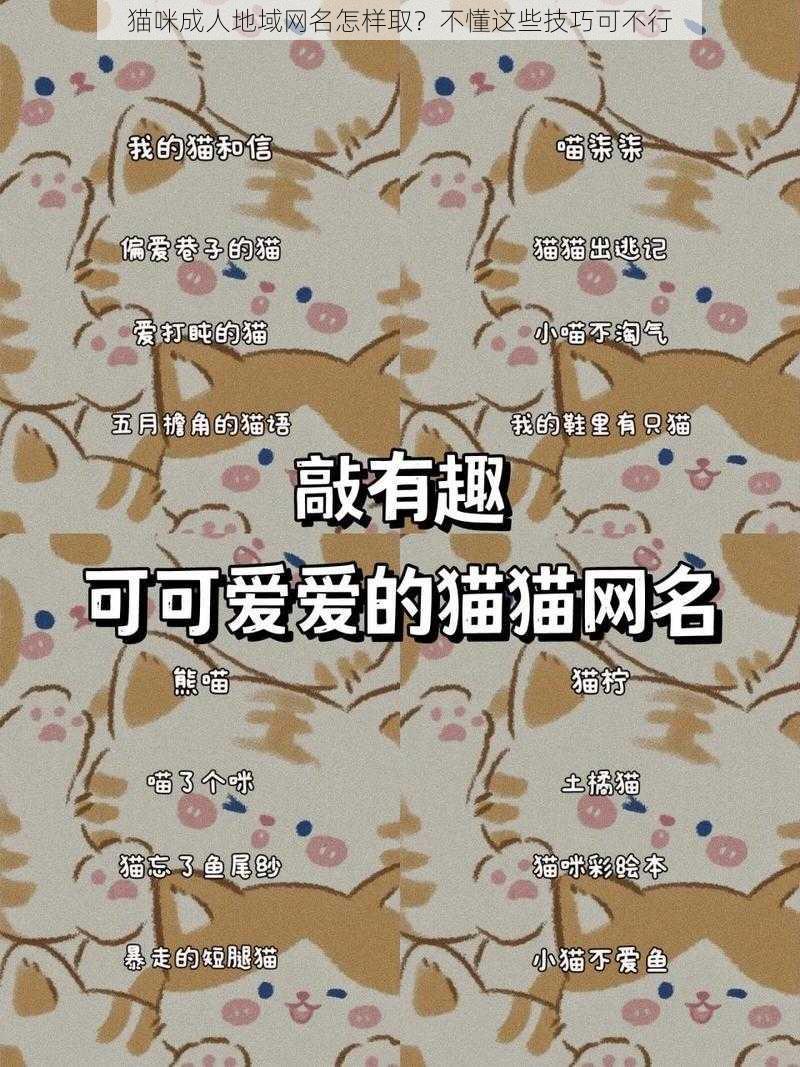 猫咪成人地域网名怎样取？不懂这些技巧可不行