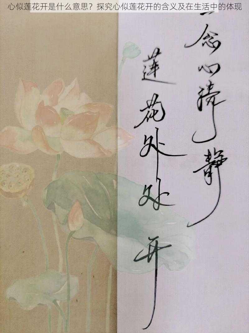 心似莲花开是什么意思？探究心似莲花开的含义及在生活中的体现