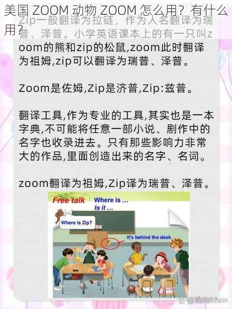 美国 ZOOM 动物 ZOOM 怎么用？有什么用？