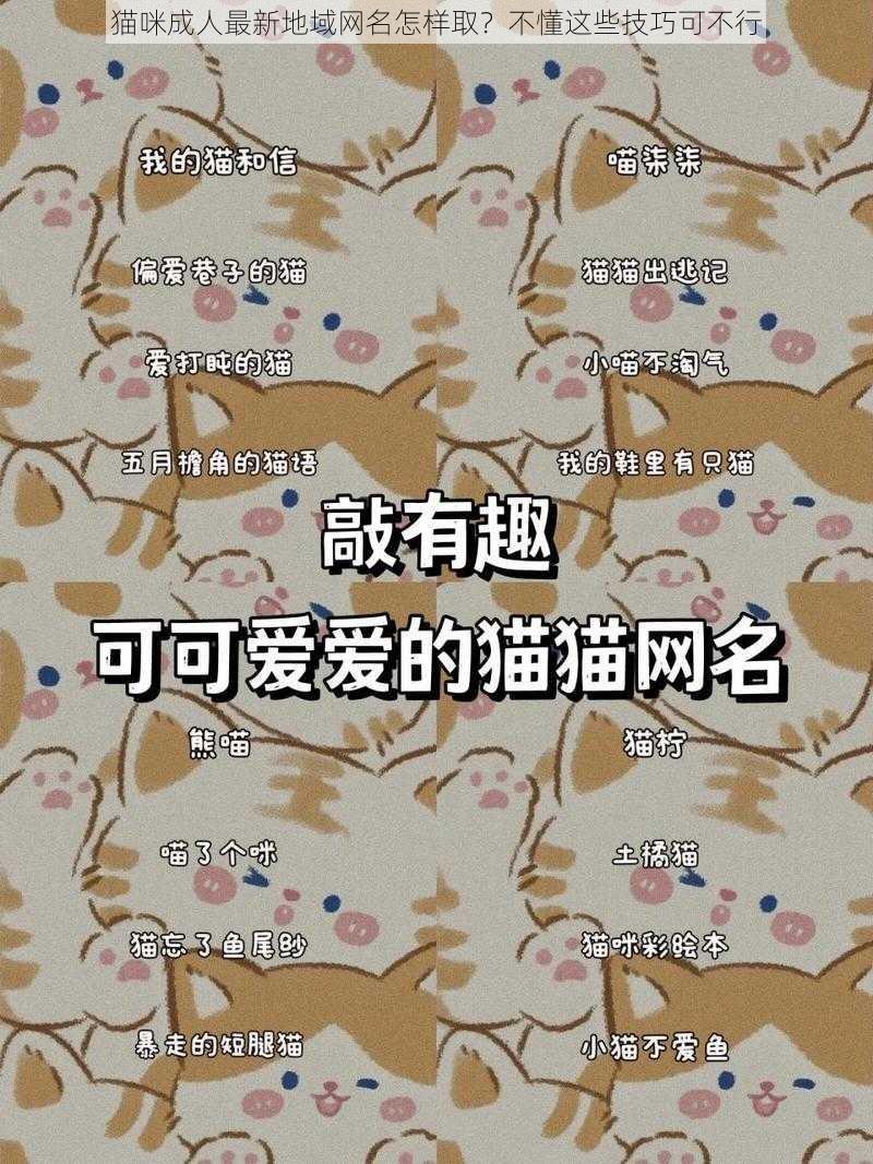 猫咪成人最新地域网名怎样取？不懂这些技巧可不行