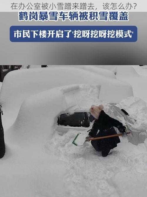 在办公室被小雪蹭来蹭去，该怎么办？