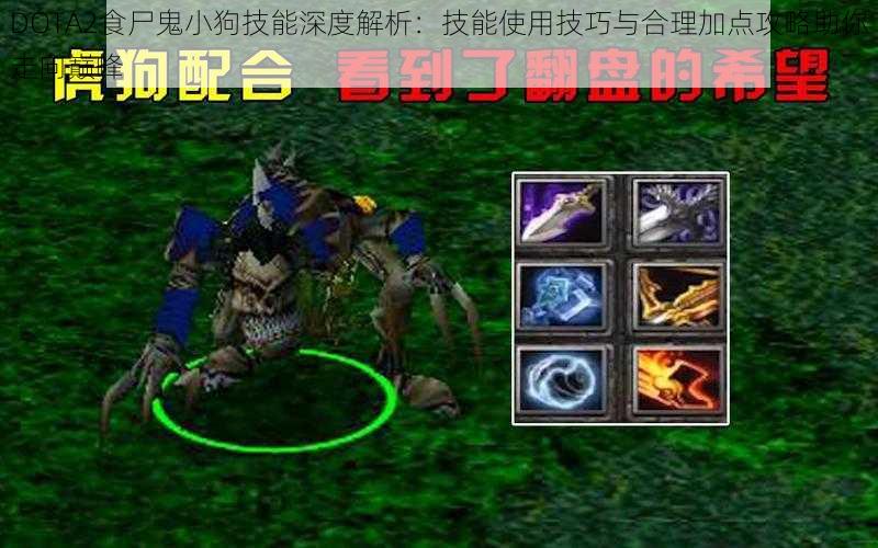 DOTA2食尸鬼小狗技能深度解析：技能使用技巧与合理加点攻略助你走向巅峰