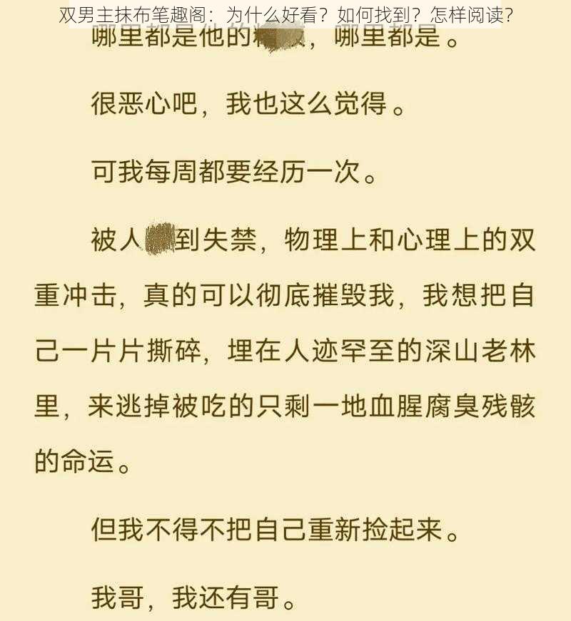 双男主抹布笔趣阁：为什么好看？如何找到？怎样阅读？