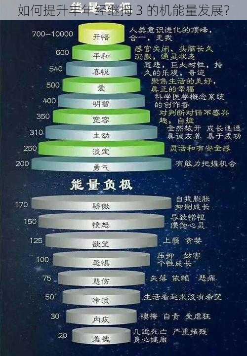 如何提升丰年经继拇 3 的机能量发展？