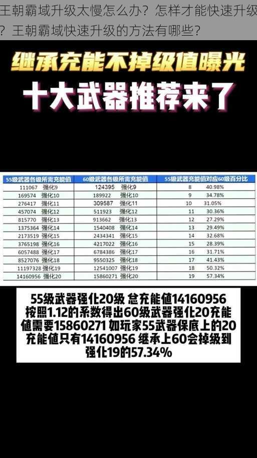 王朝霸域升级太慢怎么办？怎样才能快速升级？王朝霸域快速升级的方法有哪些？