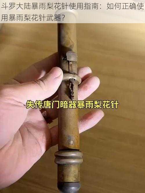 斗罗大陆暴雨梨花针使用指南：如何正确使用暴雨梨花针武器？