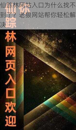 仙踪林网站入口为什么找不到了？老狼网站帮你轻松解决