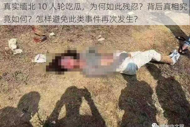 真实缅北 10 人轮吃瓜，为何如此残忍？背后真相究竟如何？怎样避免此类事件再次发生？