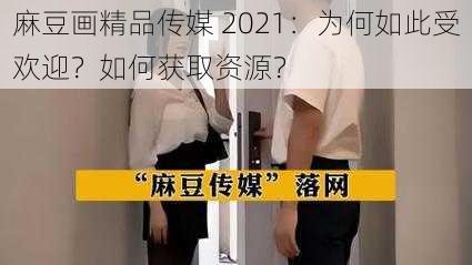 麻豆画精品传媒 2021：为何如此受欢迎？如何获取资源？