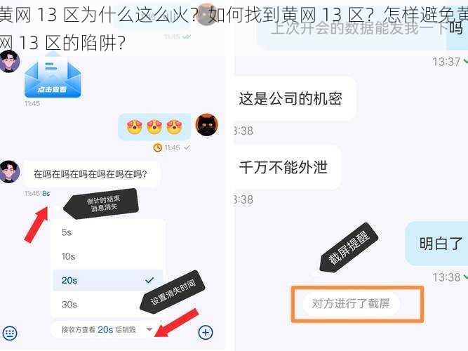 黄网 13 区为什么这么火？如何找到黄网 13 区？怎样避免黄网 13 区的陷阱？