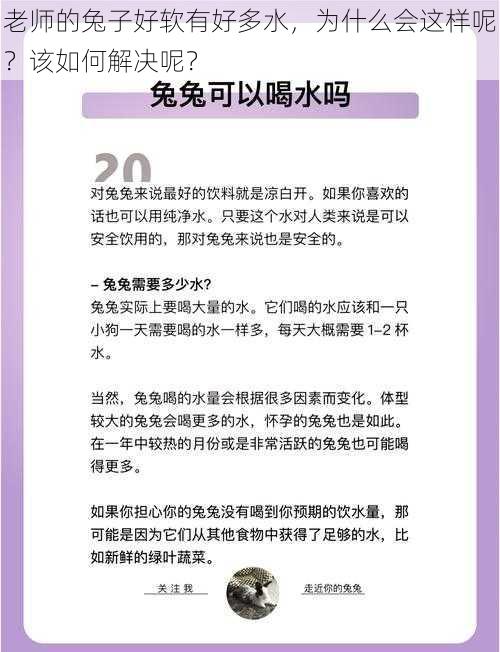 老师的兔子好软有好多水，为什么会这样呢？该如何解决呢？