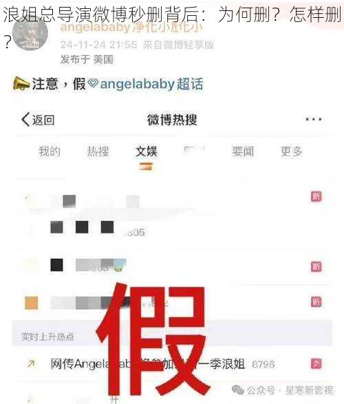 浪姐总导演微博秒删背后：为何删？怎样删？