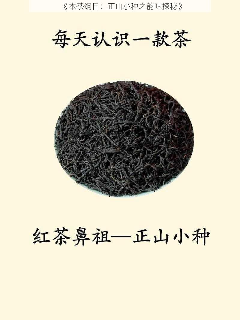 《本茶纲目：正山小种之韵味探秘》