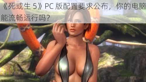 《死或生 5》PC 版配置要求公布，你的电脑能流畅运行吗？