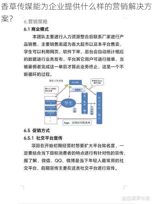 香草传媒能为企业提供什么样的营销解决方案？