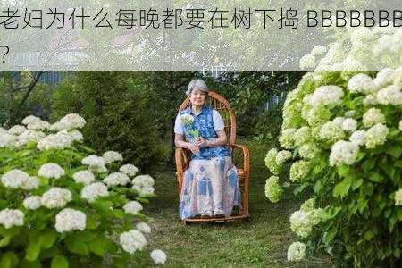 老妇为什么每晚都要在树下捣 BBBBBBB？