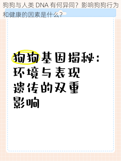 狗狗与人类 DNA 有何异同？影响狗狗行为和健康的因素是什么？