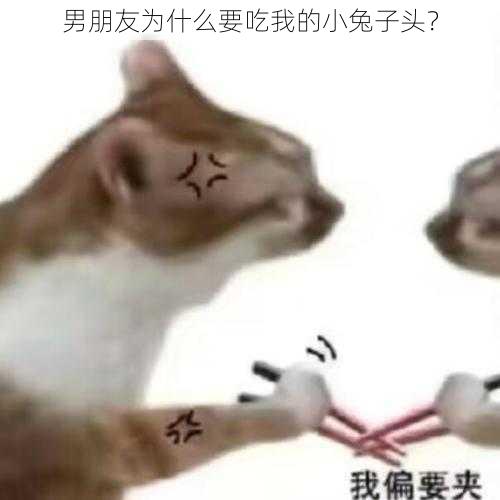 男朋友为什么要吃我的小兔子头？