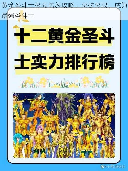 黄金圣斗士极限培养攻略：突破极限，成为最强圣斗士