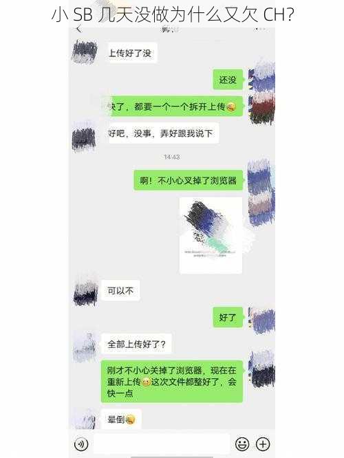 小 SB 几天没做为什么又欠 CH？