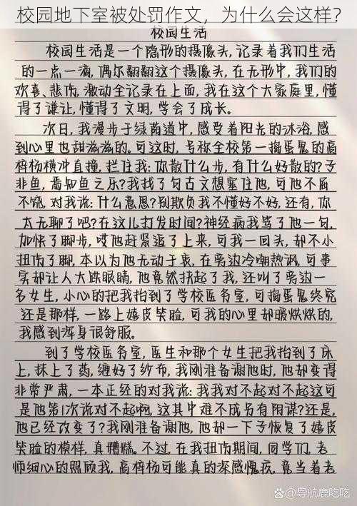 校园地下室被处罚作文，为什么会这样？