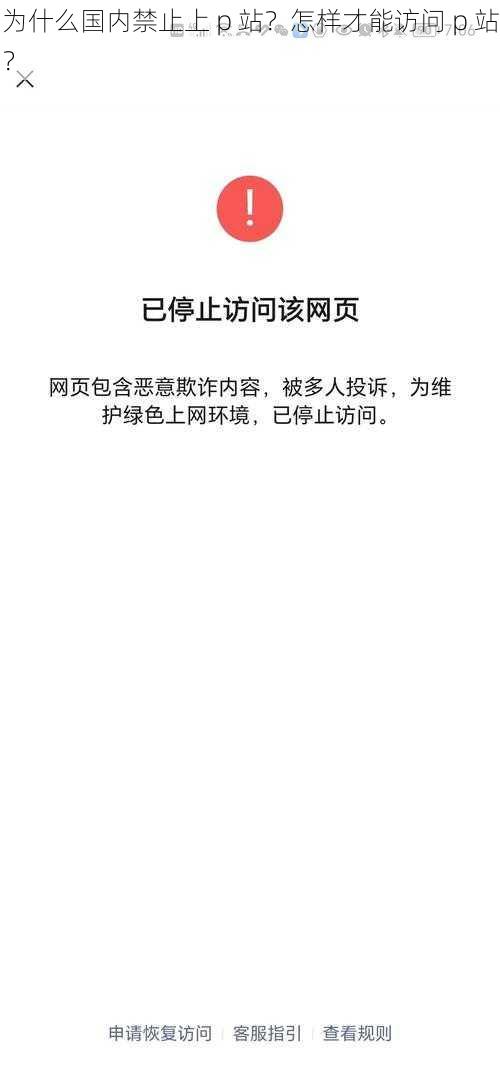 为什么国内禁止上 p 站？怎样才能访问 p 站？