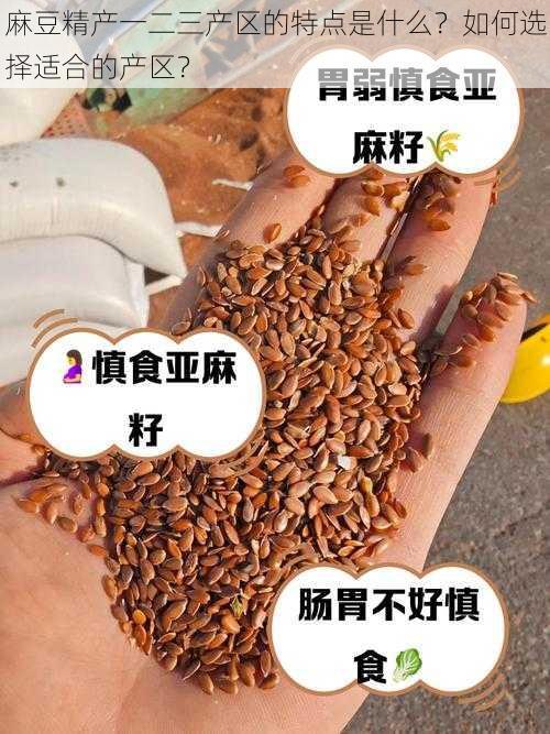 麻豆精产一二三产区的特点是什么？如何选择适合的产区？