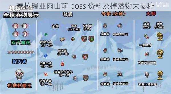 泰拉瑞亚肉山前 boss 资料及掉落物大揭秘