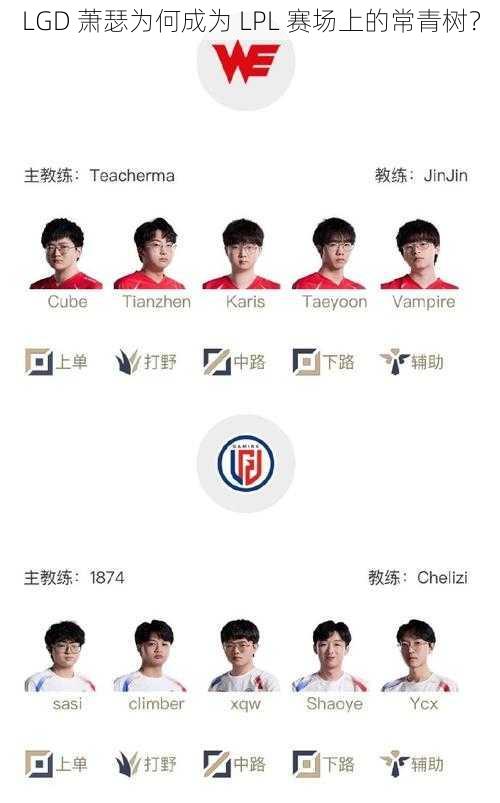 LGD 萧瑟为何成为 LPL 赛场上的常青树？