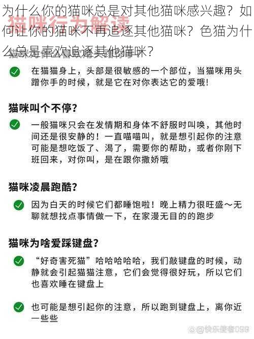 为什么你的猫咪总是对其他猫咪感兴趣？如何让你的猫咪不再追逐其他猫咪？色猫为什么总是喜欢追逐其他猫咪？