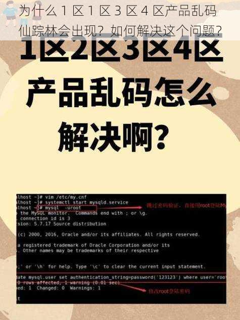 为什么 1 区 1 区 3 区 4 区产品乱码仙踪林会出现？如何解决这个问题？