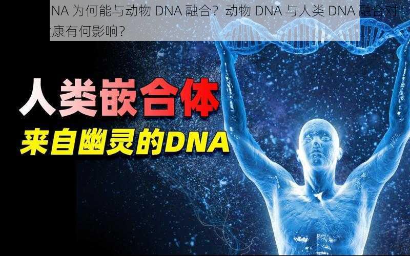 人类 DNA 为何能与动物 DNA 融合？动物 DNA 与人类 DNA 融合对人类健康有何影响？