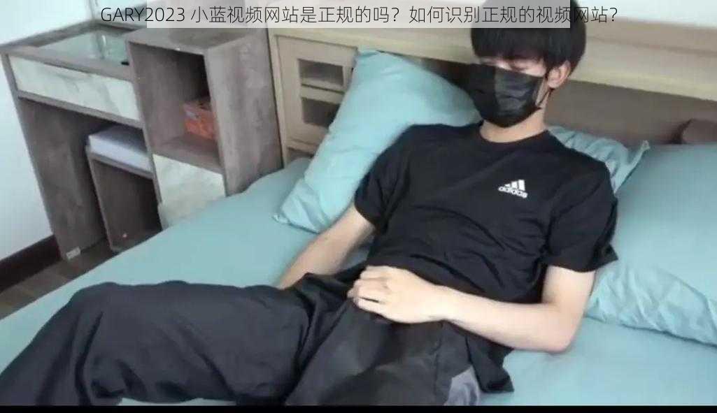 GARY2023 小蓝视频网站是正规的吗？如何识别正规的视频网站？