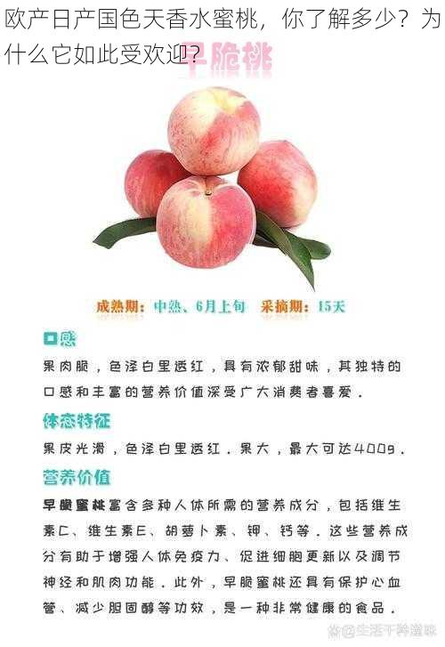 欧产日产国色天香水蜜桃，你了解多少？为什么它如此受欢迎？