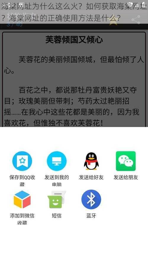 海棠网址为什么这么火？如何获取海棠网址？海棠网址的正确使用方法是什么？