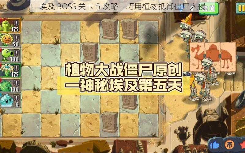 埃及 BOSS 关卡 5 攻略：巧用植物抵御僵尸入侵