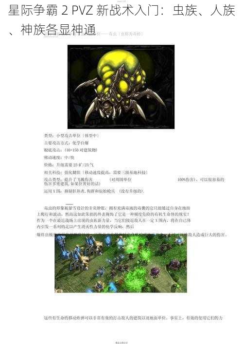 星际争霸 2 PVZ 新战术入门：虫族、人族、神族各显神通