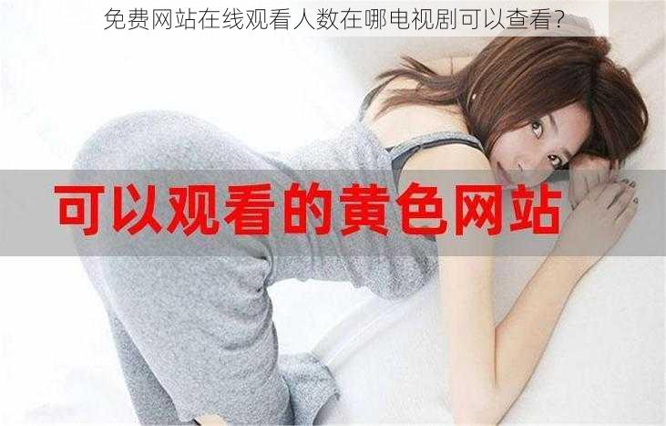 免费网站在线观看人数在哪电视剧可以查看？